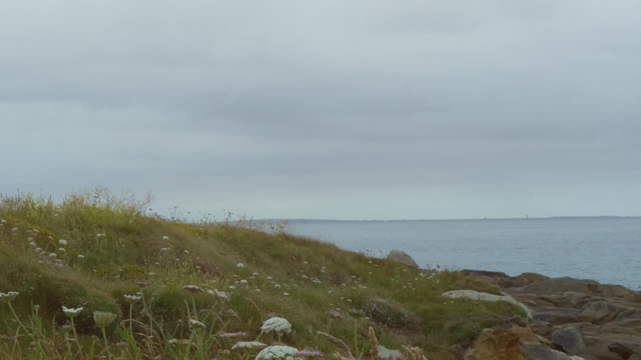 Cloudy sky on the coast of france with grass coast