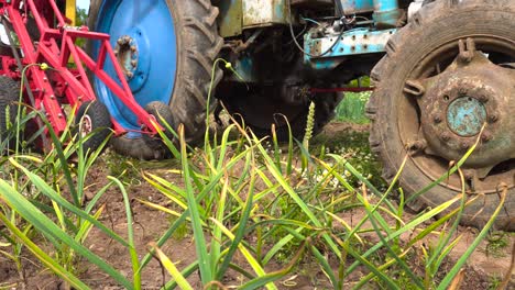 vista de ángulo bajo de un viejo tractor con equipo automático de cosecha de ajo