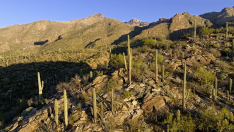 Drone-footage-flying-towards-mountain-cacti-with-dramatic-shadows