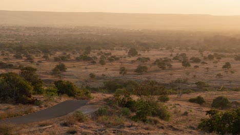 panoramic view of a dry savannah landscape at sunrise or sunset