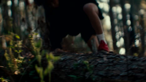 persona en un bosque