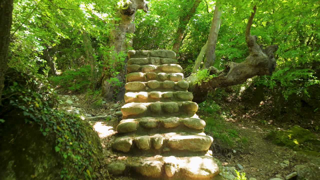 La luce del sole filtra attraverso rigogliosi alberi verdi su antichi gradini in pietra in un sereno sentiero boschivo greco, creando una pacifica scena naturale