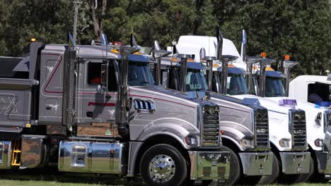 a fleet of semi-trucks cruising in woodland area