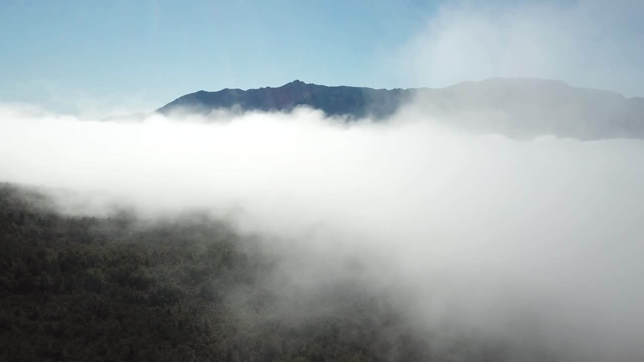 Flying Into Clouds Above Rainforest in Volcanic Region of Chile, Drone Aerial View
