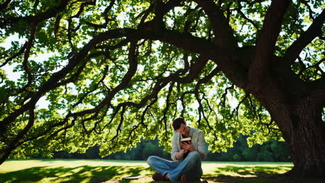 man reading a book under a sunlit tree