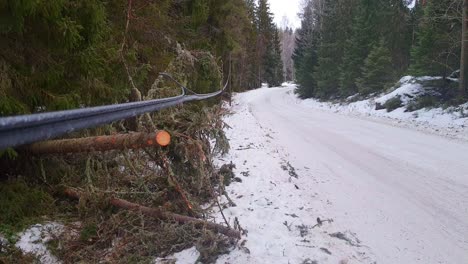 Línea-Eléctrica-Destrozada-Por-árboles-Caídos,-Tormenta-De-Invierno,-Cables-No-Enterrados