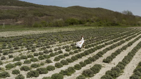 woman walking in a lavender field