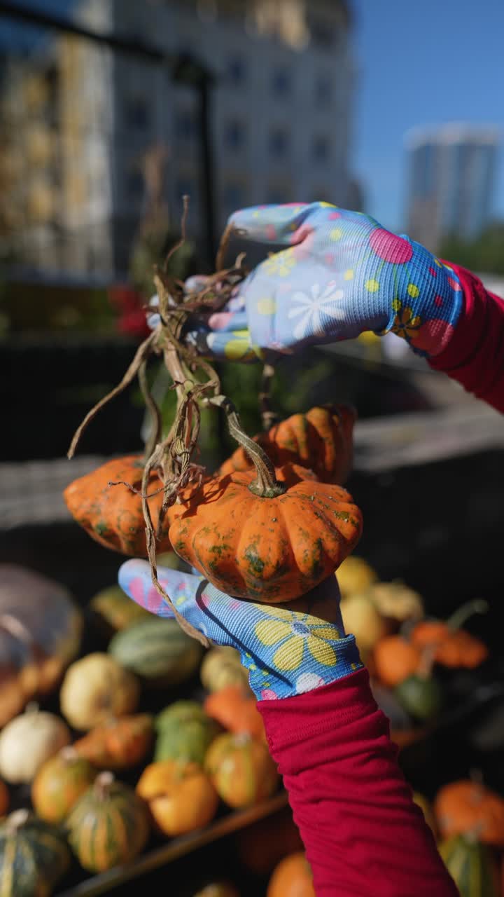 mujer sosteniendo calabazas en un mercado de agricultores de otoño
