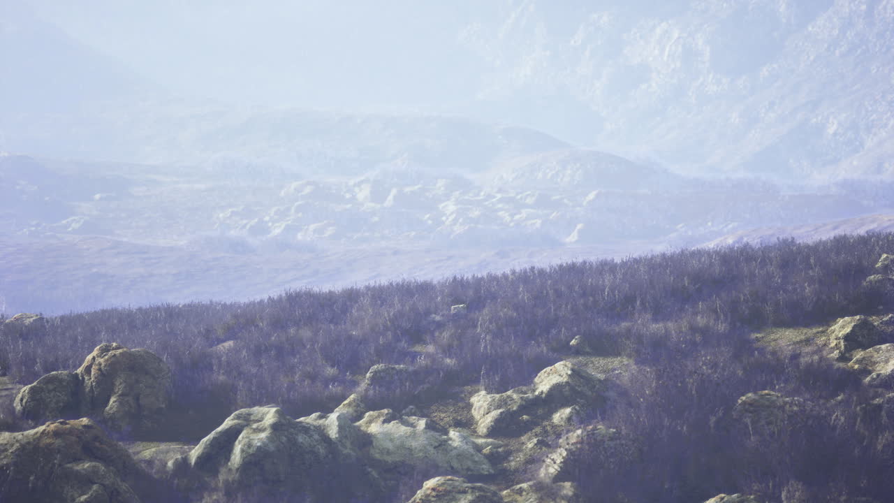 Rocky landscape with distant mountains and sparse vegetation in hazy light