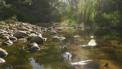 view of a river during a sunny day