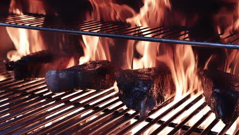 outdoor barbecue fire in backyard grills cooks thick juicy filet mignon steaks, close up slow motion