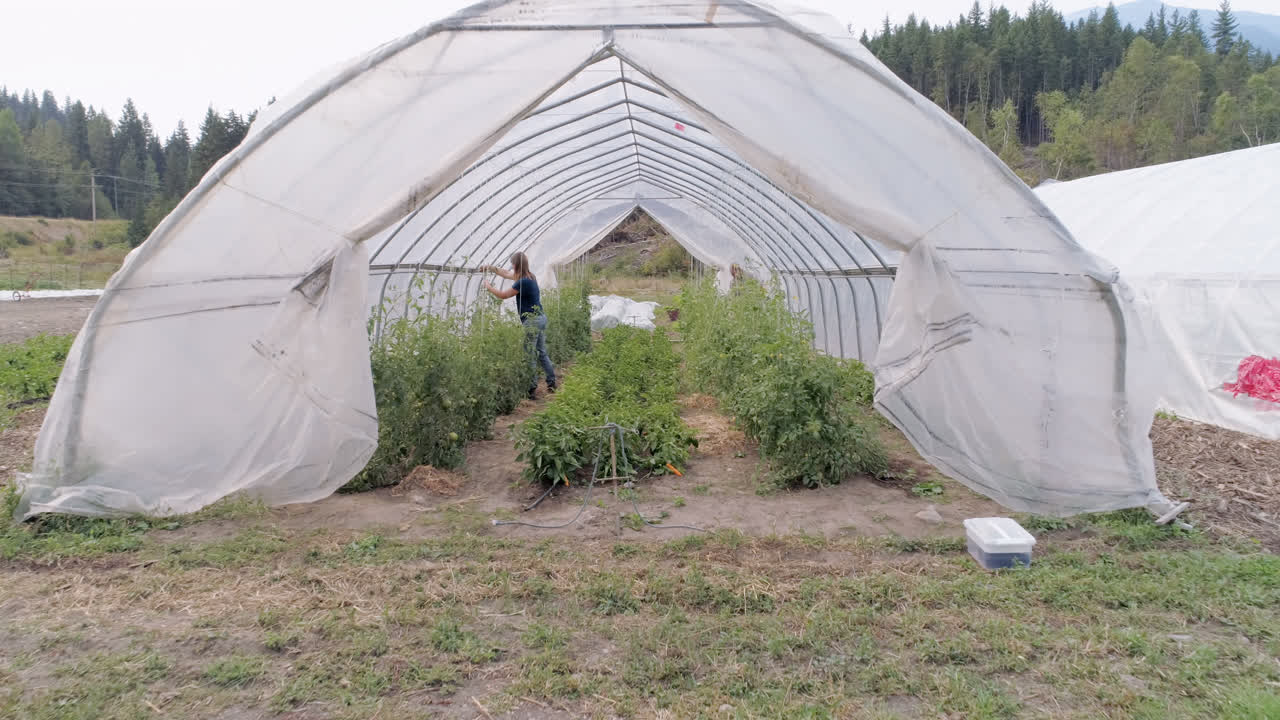 4k  ⁇ 에서 일하는 두 명의 농부