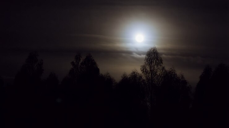 Luna piena che splende attraverso le nuvole sopra la silhouette di una foresta scura di notte