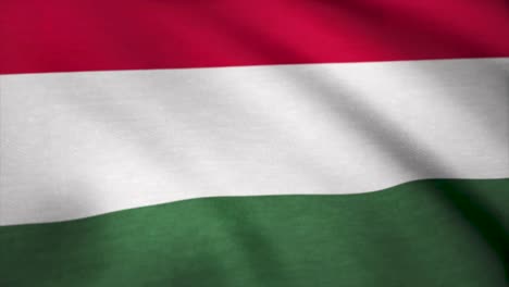 hungarian flag