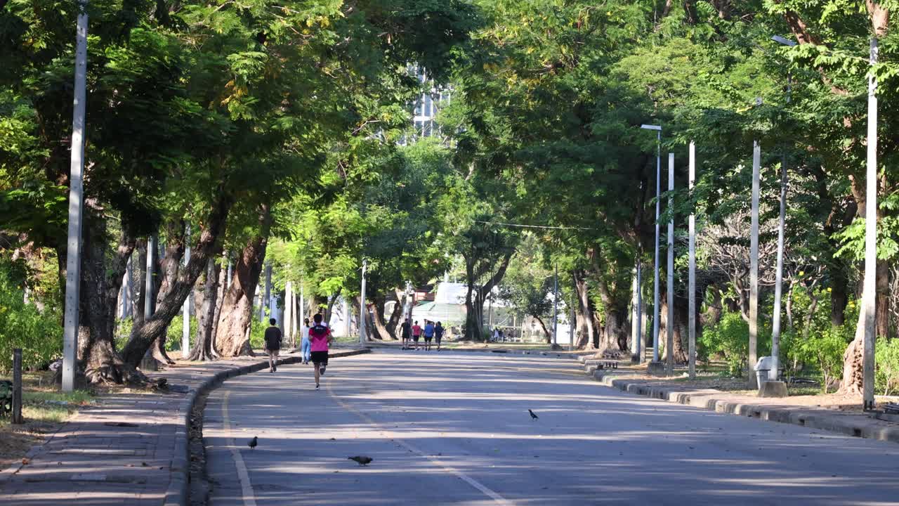 나무 로 둘러싸인 공원 도로 에서 조 하는 사람 들