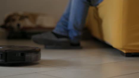 cleaning robot does housework while a person and his brown and white dog enjoy their leisure