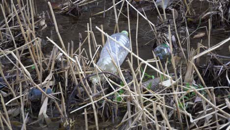 Arroyo-Poco-Profundo-Lleno-De-Botellas-De-Plástico-En-Yangjaecheon,-Seúl,-Corea-Del-Sur---Primer-Plano