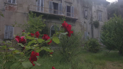 overgrown grass in a frontyard garden near the abandoned medieval architecture. zoom out shot