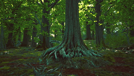 Detailed-close-up-view-on-a-forest-ground-texture-with-moss