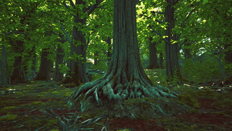 Detailed close up view on a forest ground texture with moss