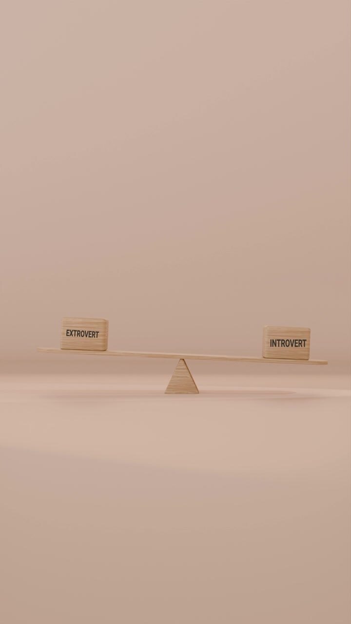 VIDEO VERTICALE DI ESTROVERSO E INTROVERSO IN EQUILIBRIO SU UN'ALTALENA