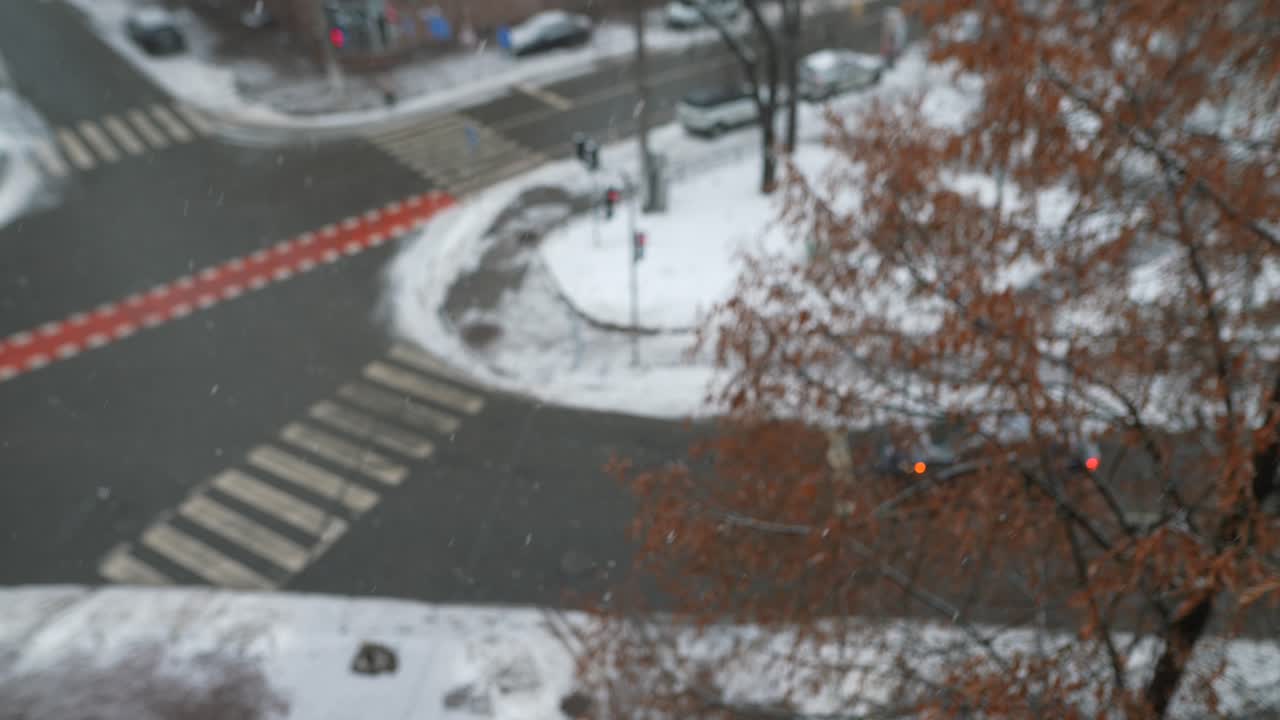 눈 인 도시 교차로