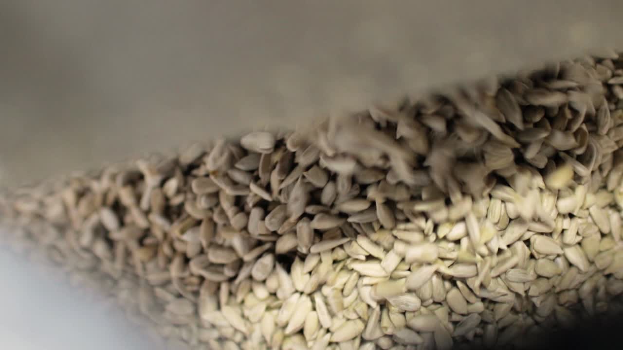 공장 컨베이어 에 있는 꽃 씨