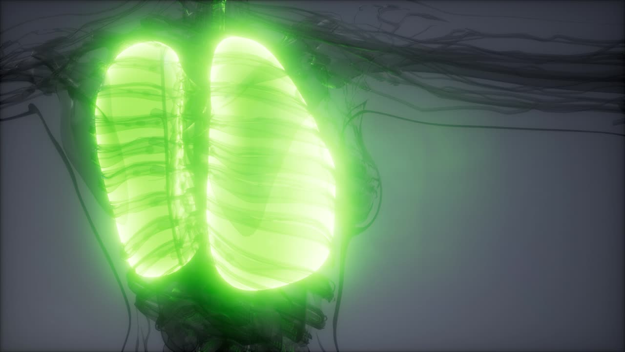 examen radiológico de los pulmones humanos