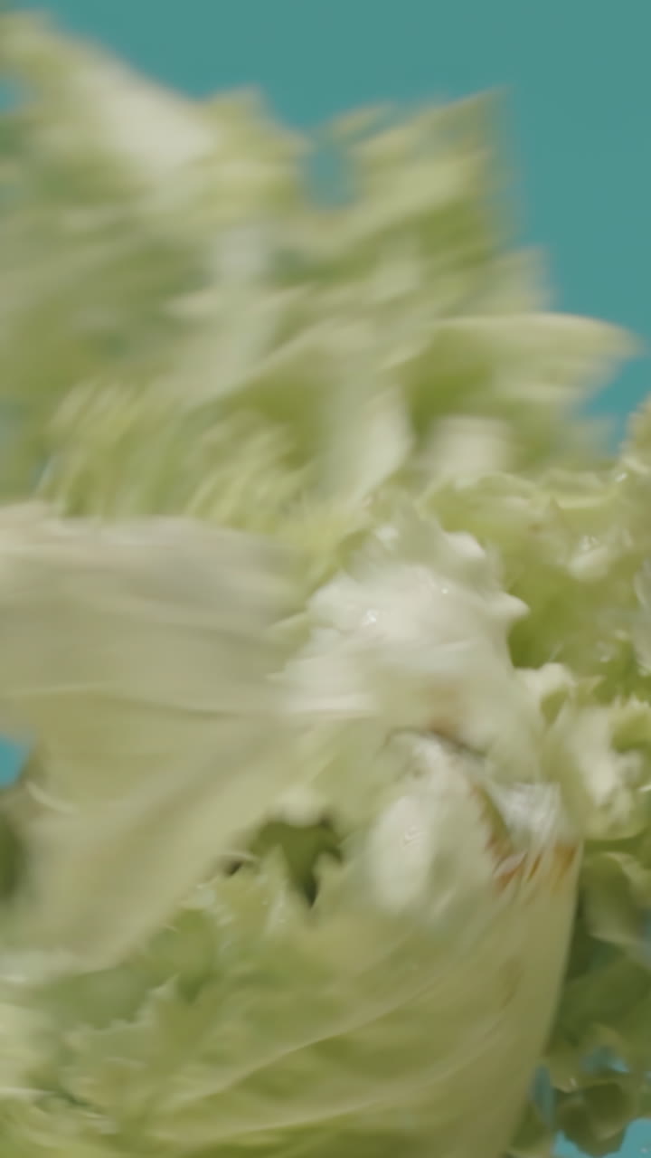 hojas borrosas contra un fondo azulado