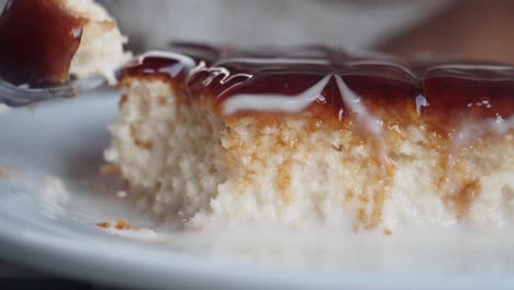 close-up of a delicious turkish trilece dessert