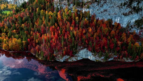 along a lake shoreline of a austrian snowy mountainside in autumn