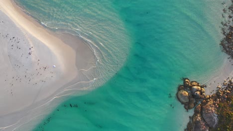 madfish bay, coastline of southwestern australia, birdseye aerial view of sandy beach and turquoise ocean