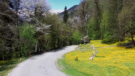 shooting of a countryside road.