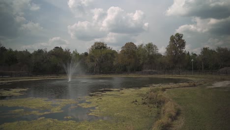 a peaceful pond on a ranch farm