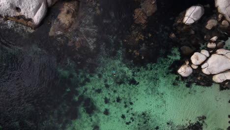 Driver-swimming-through-crystal-clear-ocean-water-surrounded-by-rocks-and-kelp