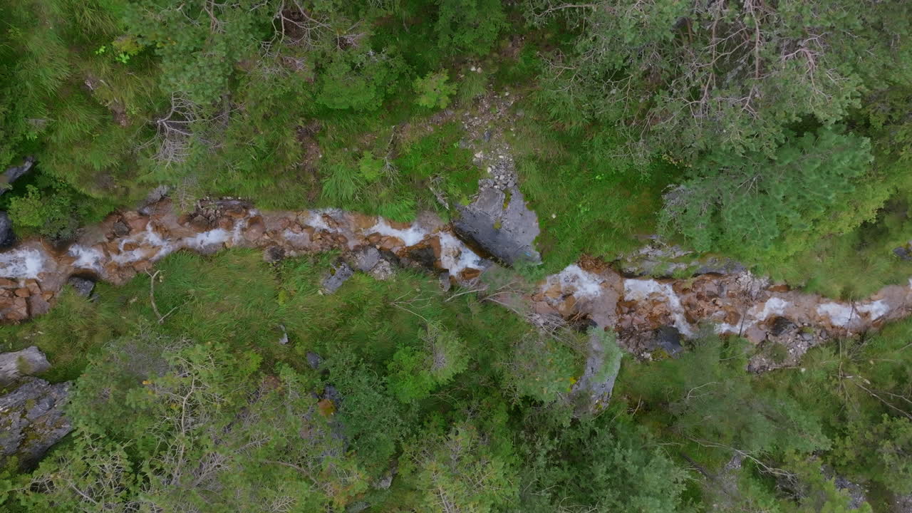 imágenes aéreas ascendentes y rotativas de un arroyo de montaña entre el bosque en una montaña en los dolomitas.