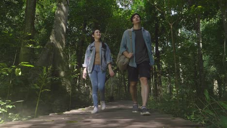 couple walking on wooden path in tropical forest, slow motion