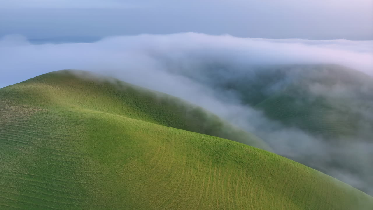 Rolling Green Hills Engulfed in a Misty Morning Fog