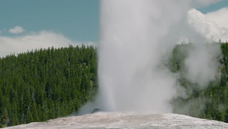 old faithful geyser water blasting into air at yellowstone national park natural hot springs, zoom out hand held in slow motion