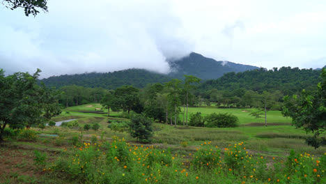 美麗的高爾夫球場,山丘背景