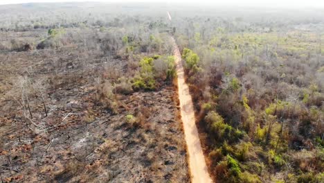 dirt track in madagascar countryside. drone aerial view