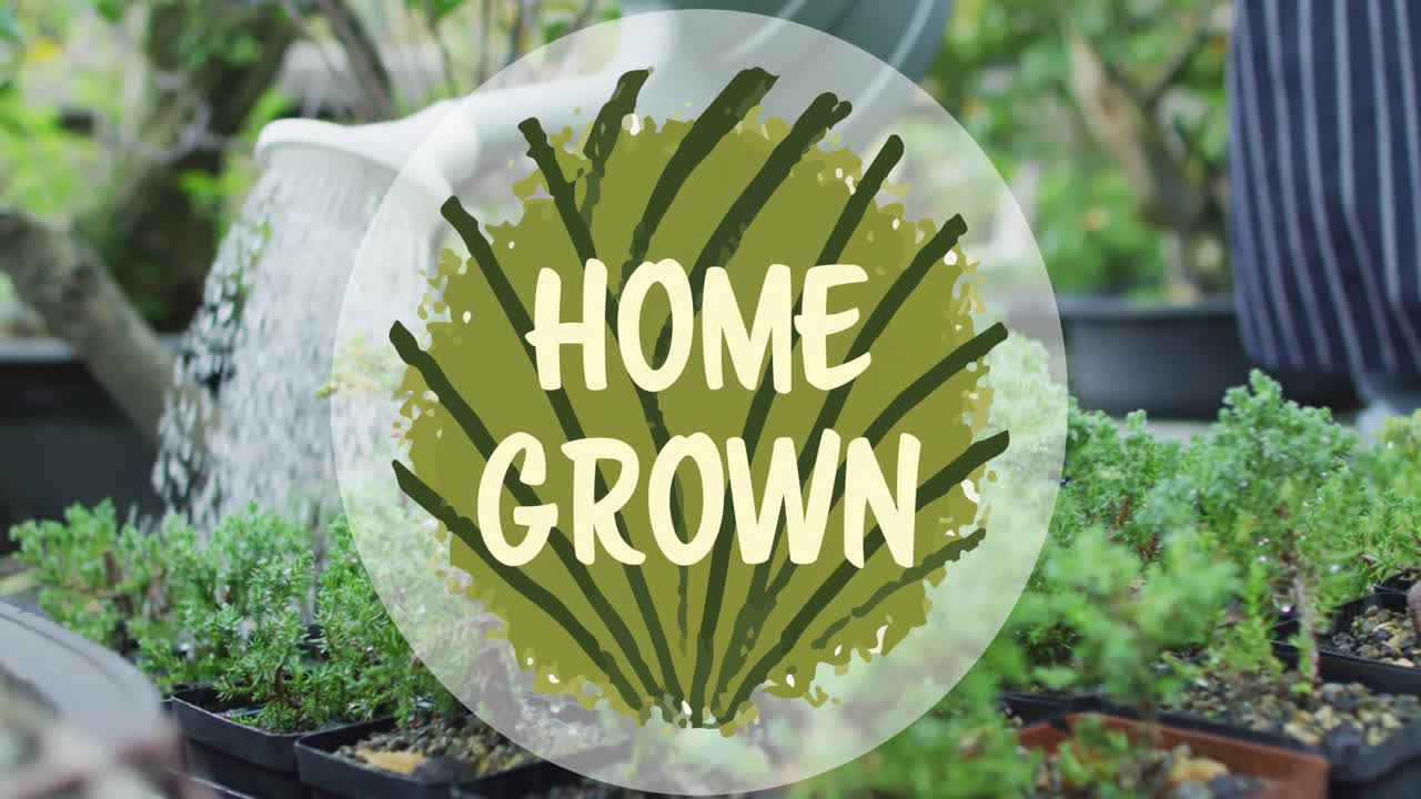 여성이 물을 주시는 플라스트의 중간 부분에서 가정에서 자라는 애니메이션