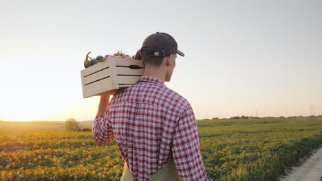 A-Young-Male-Farmer-Walks-Along-The-Field-With-A-Box-Of-Fresh-Vegetables-4k-Video