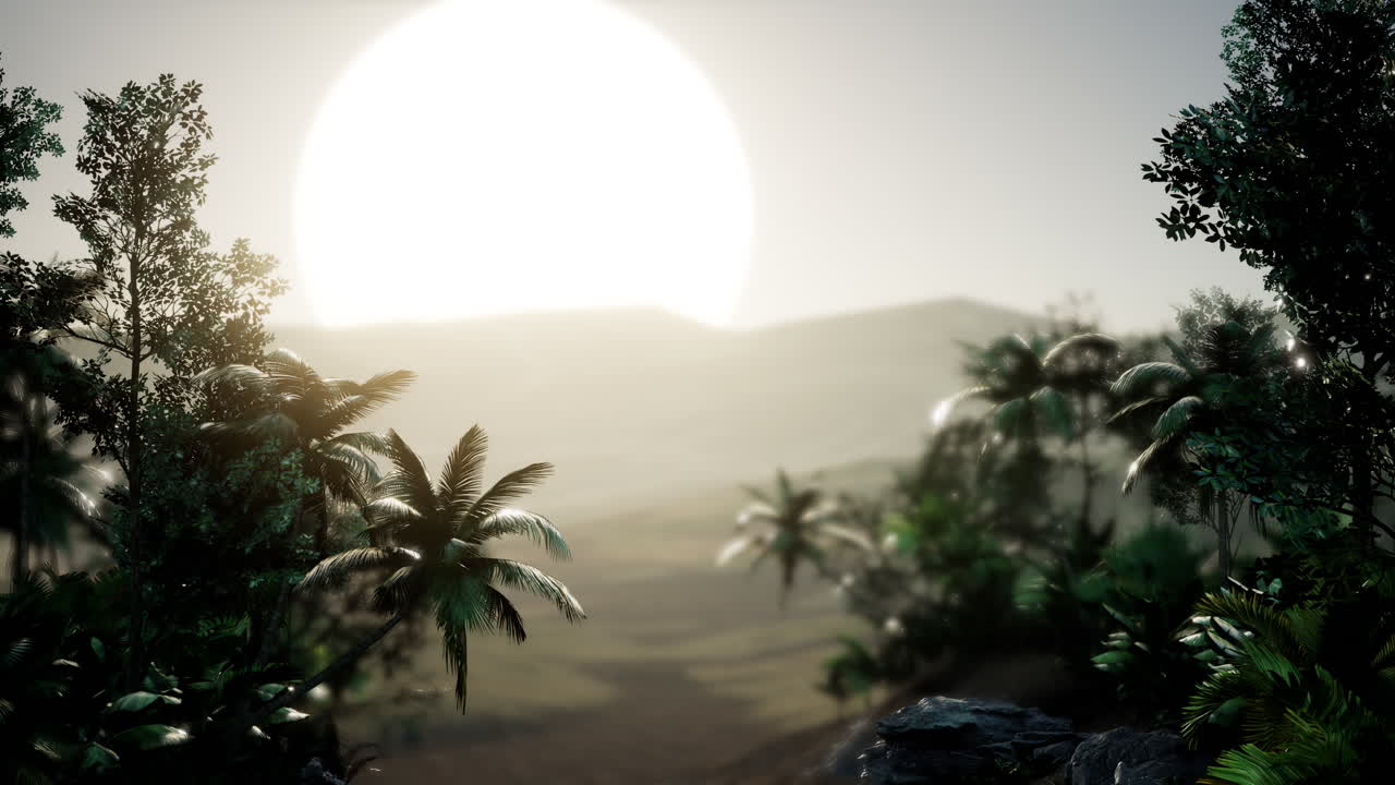 palmeras de coco paisaje tropical