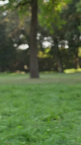 friends enjoying a park conversation