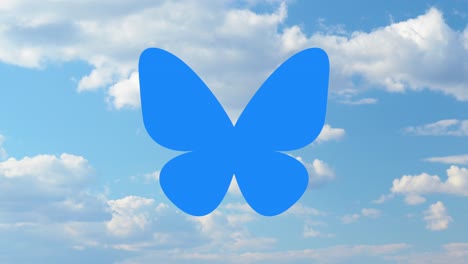 blue butterfly in a cloudy sky