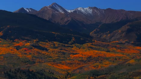 aspen mount snowmass capitol peak fall autumn sunny blue sky morning aerial drone colorado white river national forest valley ranch snow dusting rocky mountain peaks forward pan up