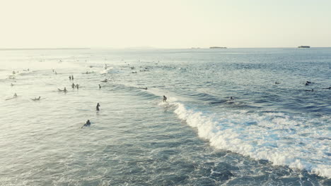 la vida se encuentra en el mar