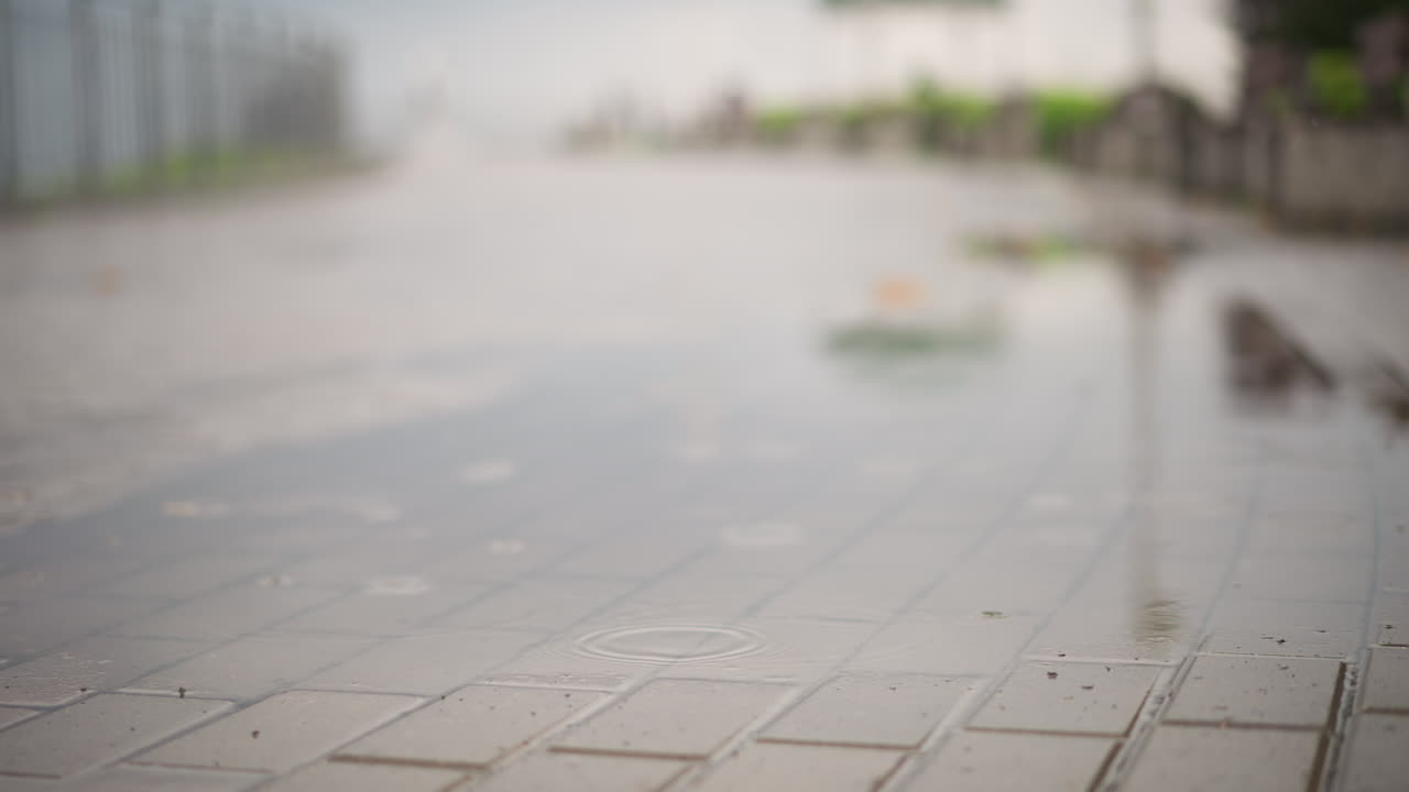 젖은 타일 바닥의 반사되는 표면, 얕고 텅 빈 도시 산책로에는 웅덩이와 윤기 있는 타일이 있고, 흐릿한 멀리 있는 가로등 기둥과 울타리, 흐린 하늘, 차분한 버려진 분위기, 텍스처가 있어요.