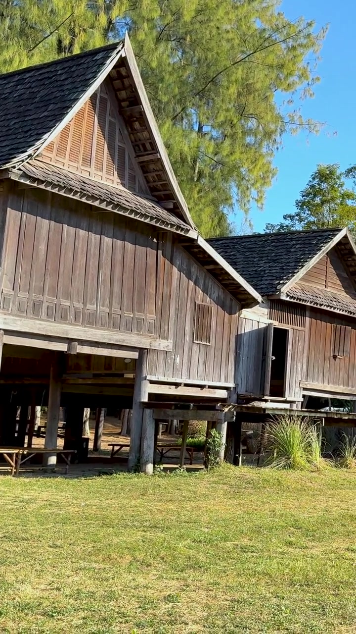 Rumah kayu dikelilingi tanaman hijau subur
